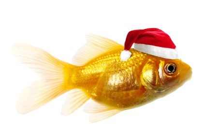 Vianoce sú už za dverami 